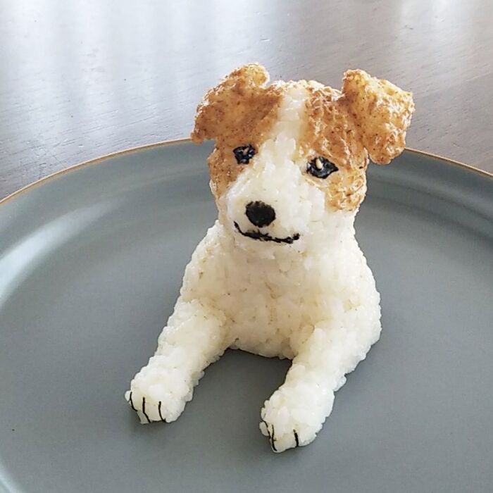 You Wouldn't Dare Eat These Rice Balls (New Pics)