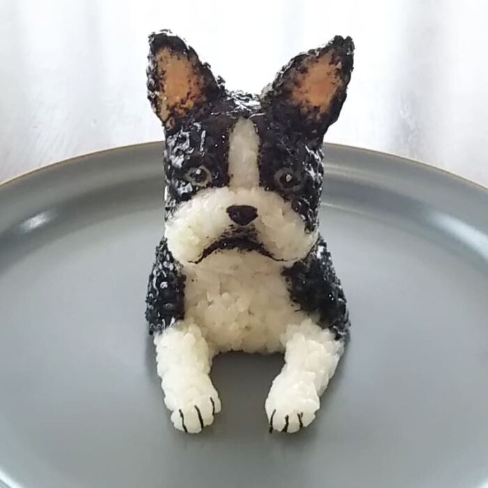 You Wouldn't Dare Eat These Rice Balls (New Pics)