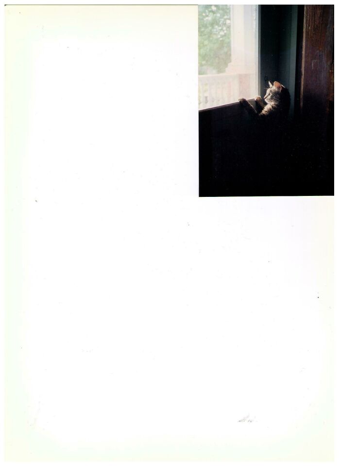 Gone Many Years Now, My Lovely Zosia's First Look At The Outside From The Door.