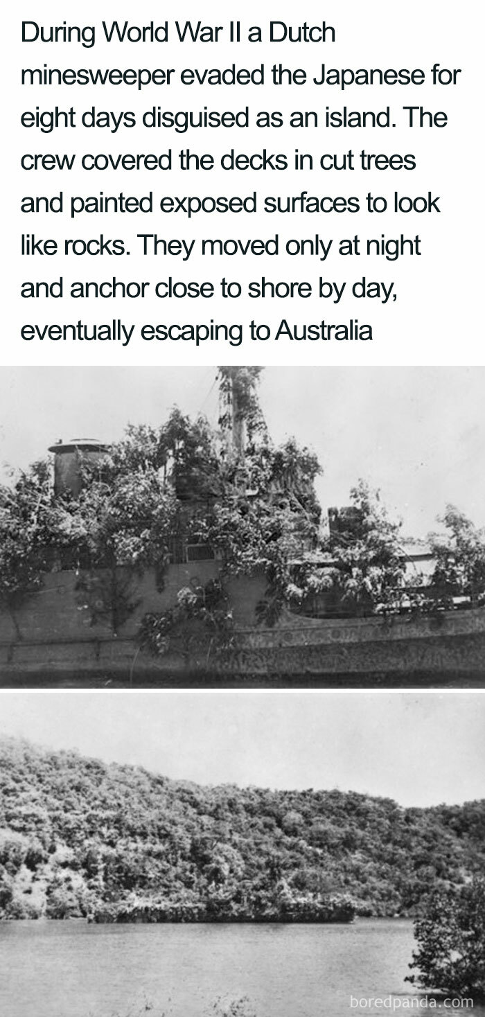 One Of The Largest Actlikeyoubelong Operations In History