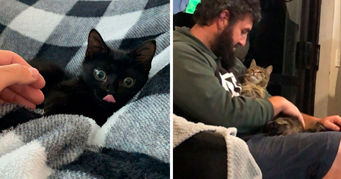 50 Wholesome Rescue Pet Pics To Heal Your Soul (August Edition)