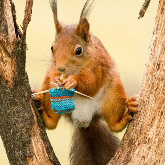 I Asked A Person On Instagram To Photoshop My Wildlife Photos, And This Is The Result (18 Pics)