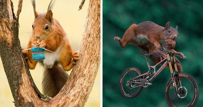 I Asked A Person On Instagram To Photoshop My Wildlife Photos, And This Is The Result (18 Pics)