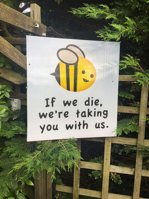 bees_die-61188cec426e0.jpg