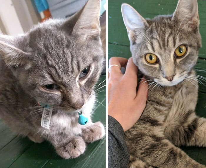 From A Little Baby With A Respiratory Infection And Full Of Worms To The Biggest Sweetheart. Tobin Only Has Good Things In His Future From Here On Out