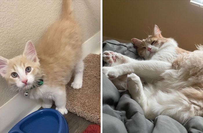 Happy First Birthday You Feral Little Man. Please Stop Growing Now. It’s Getting Weird