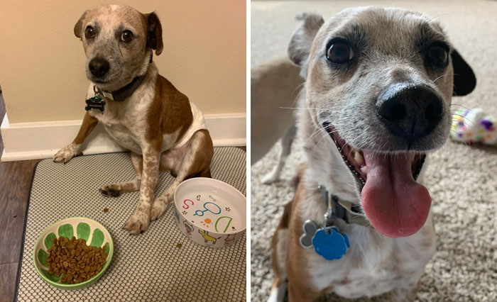 His First Week At Home, Alert While Eating And Completely Relaxed A Year Later