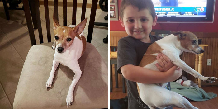 Let’s Be Honest, This Smug Pup Deserves To Be Taken Down A Notch!