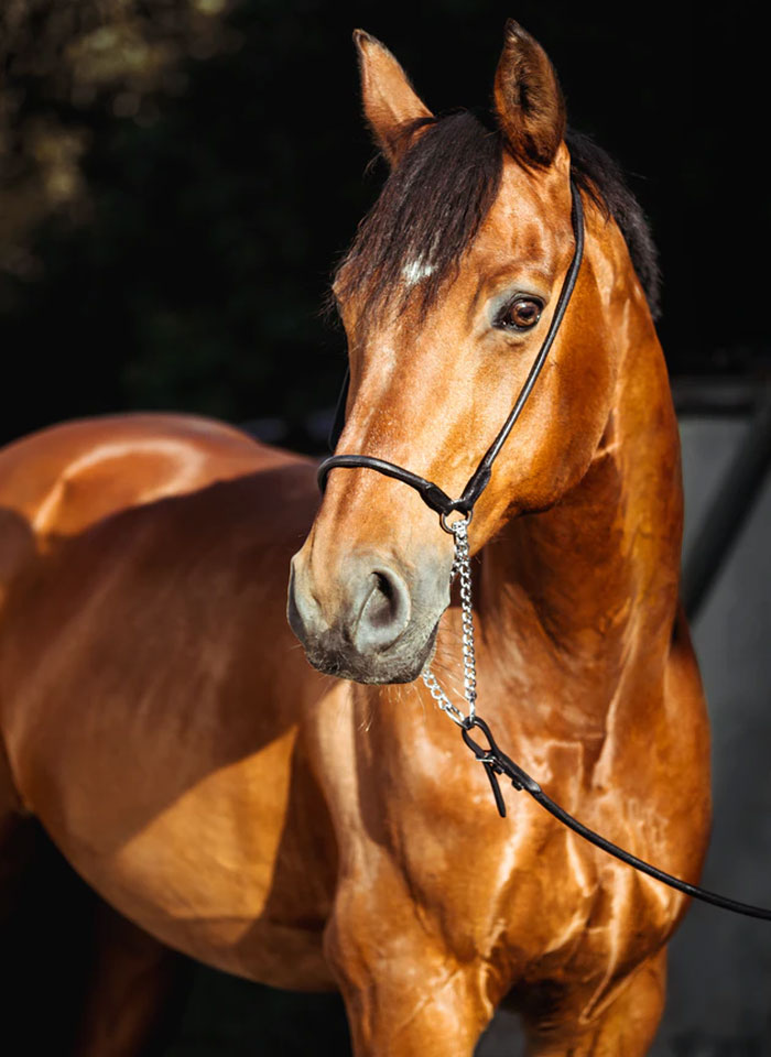 30 People Are Sharing The Best Moments When Rich Kids Were Hit By The Real World