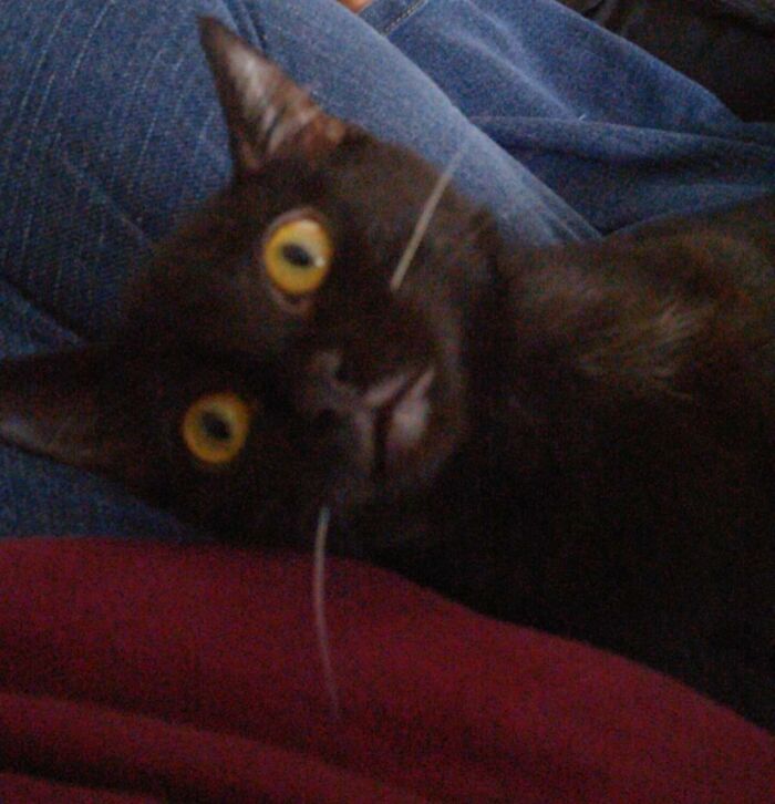 Charlie Is A Little Odd...