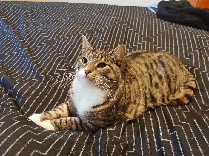 Rem Being A Long Loaf