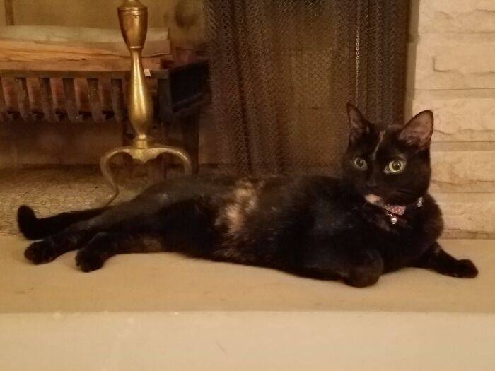 Queen Of The House & My ❤ Cali