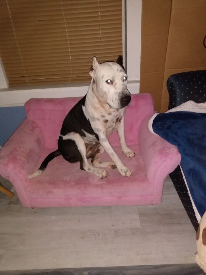 Not Pleased About Taking Pic After Waking Up From Nap