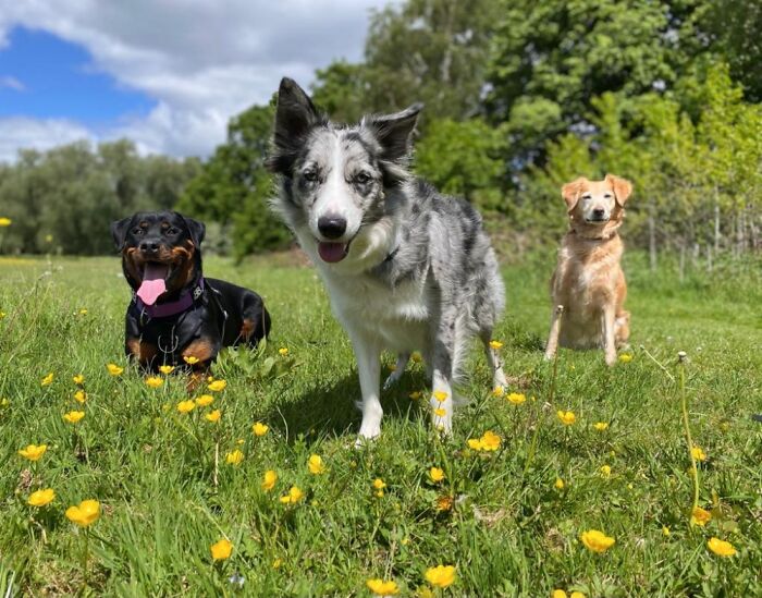 The Girls Look Like They're About To Drop They're First Album...