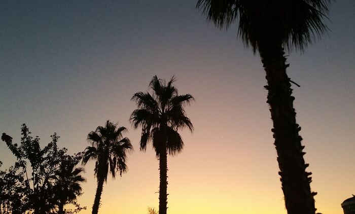 Summer Evening - Turkey