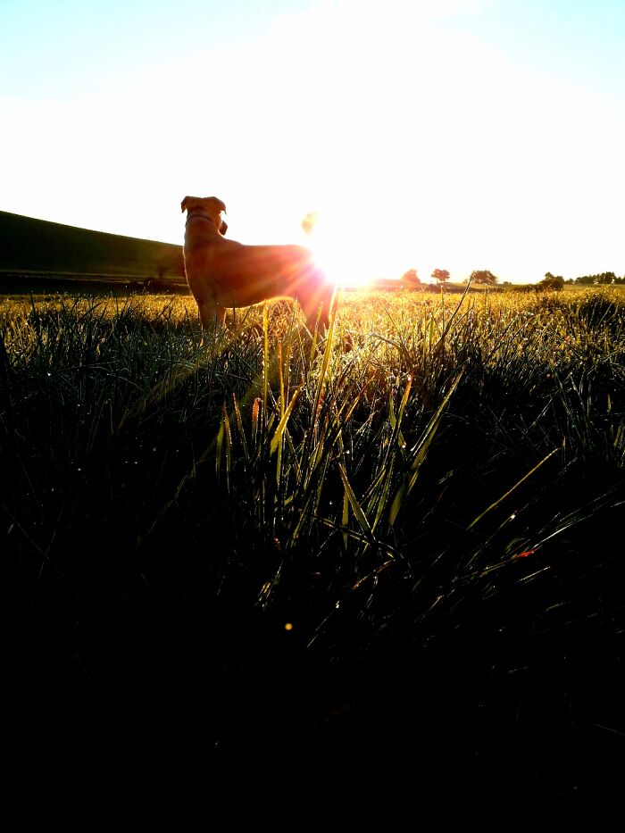 Dunno If The Best, But One Of My Favorites