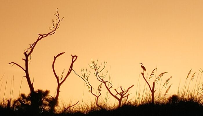 St. Andrew's State Park, Panama City, Florida. #ilovewhereillive