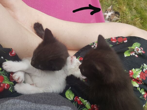 A Little Boy Wanna Join The Hug Group