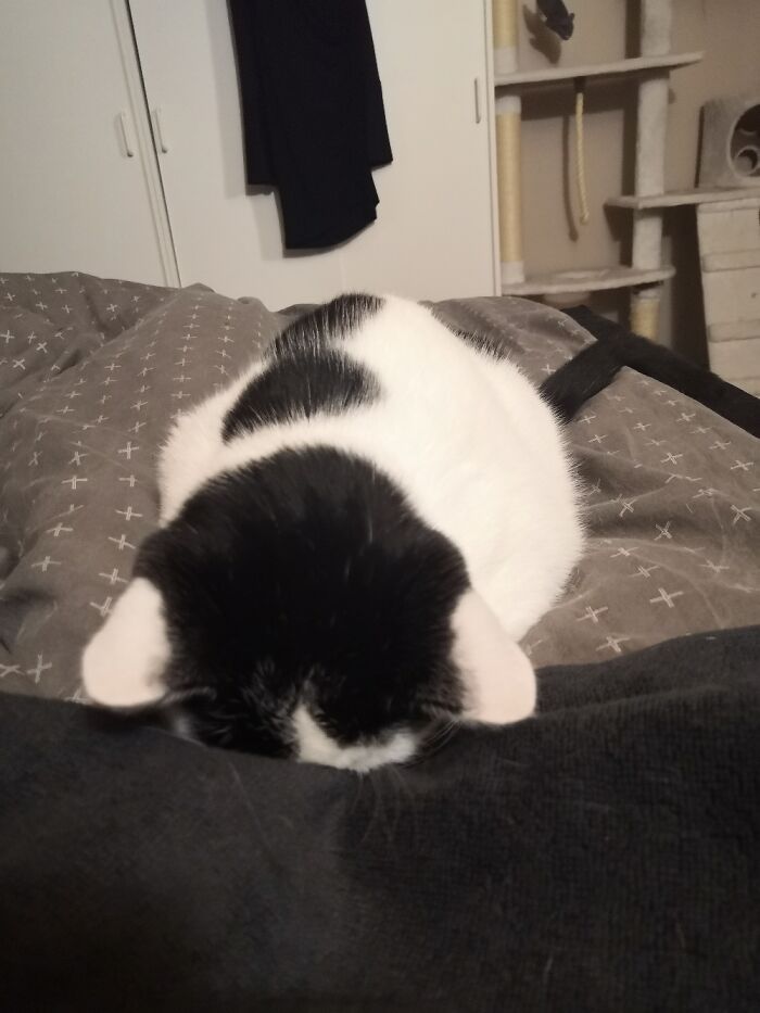 Drunken Loaf