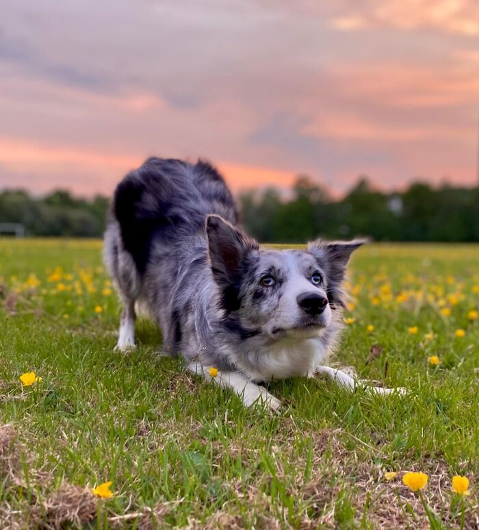 Throw The Ball!!! I'm. Waiting
