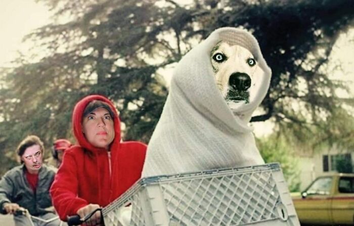 A Friend Turned Us Into An Et Movie Scene!