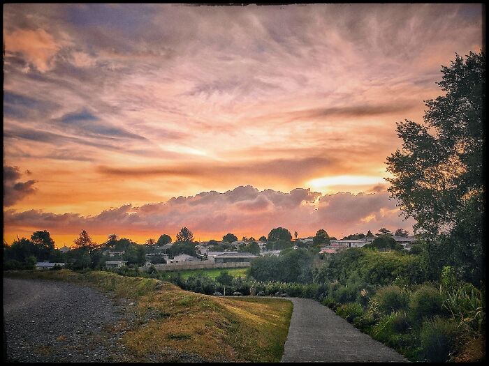 Auckland, New Zealand. My Hiking Grounds.