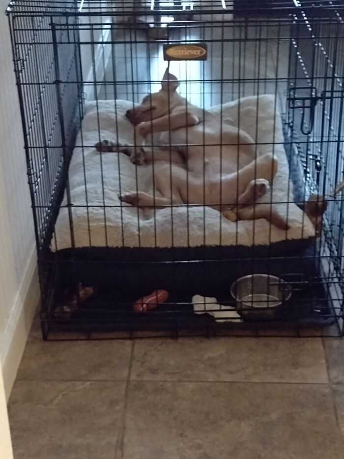 Wait Isnt This How Everyone Sleeps?