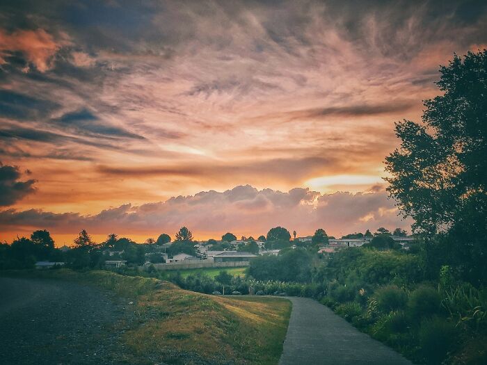 Auckland Suburb, New Zealand, 2021