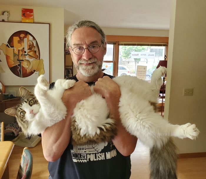 Geoffthekatt Does Not Understand . . . Anything.