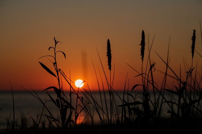 Sunset In My Favorite Place