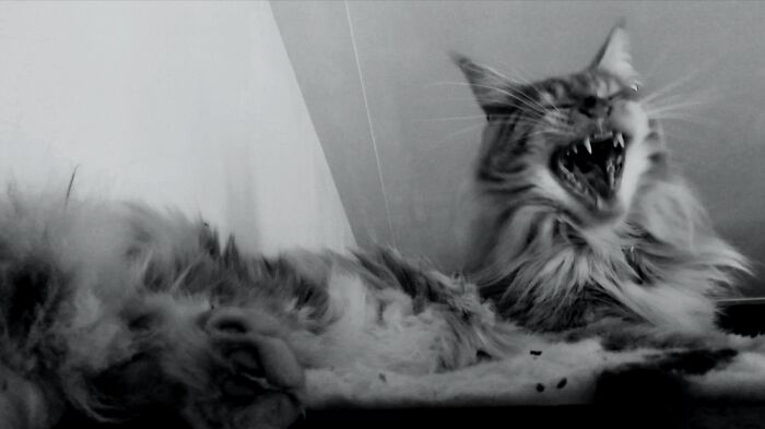 Not My Best One, But Definitely One Of My Favorites!!