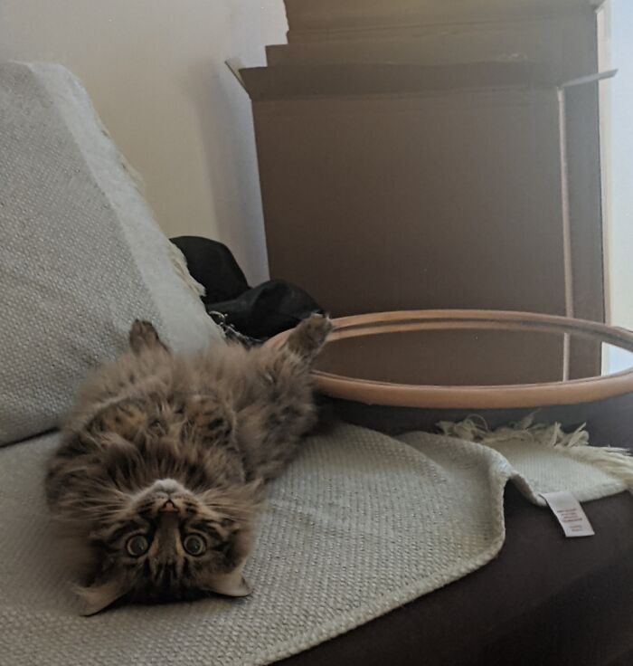 Don't Kick The Mirror...brian! Had To Move The Mirror.