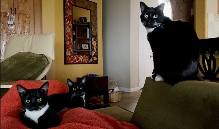 Barney, Bobby, And Blickle...