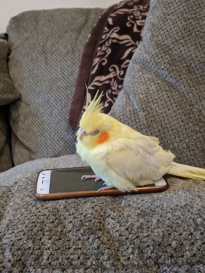 Jane So Sleepy After Being On Phone.