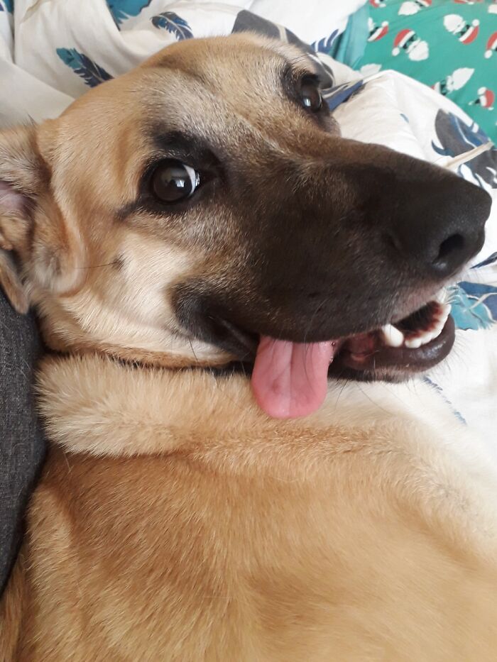 She's A Whole Package