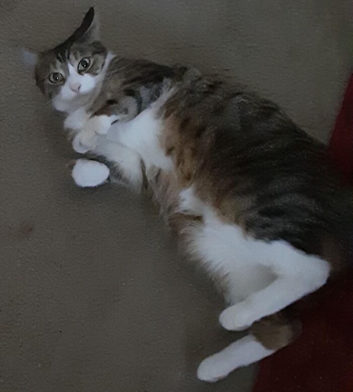 I Am Ready To Be Worshipped