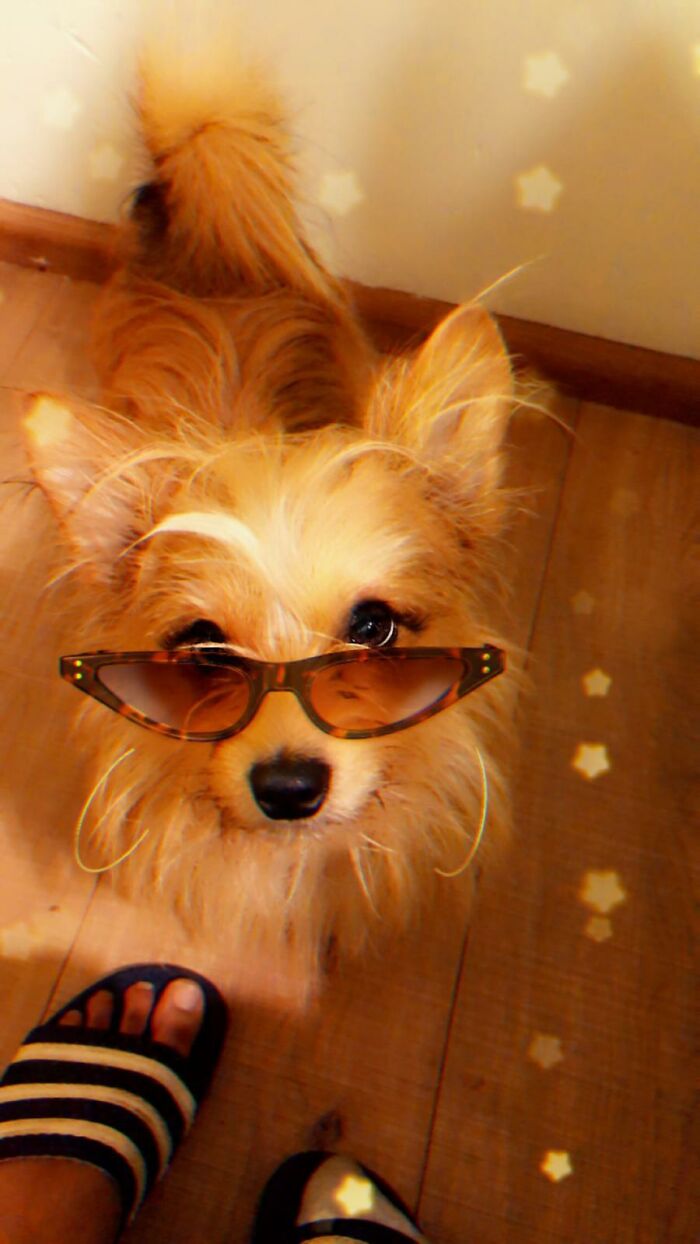 Im A Pretty Big Deal Around Here.