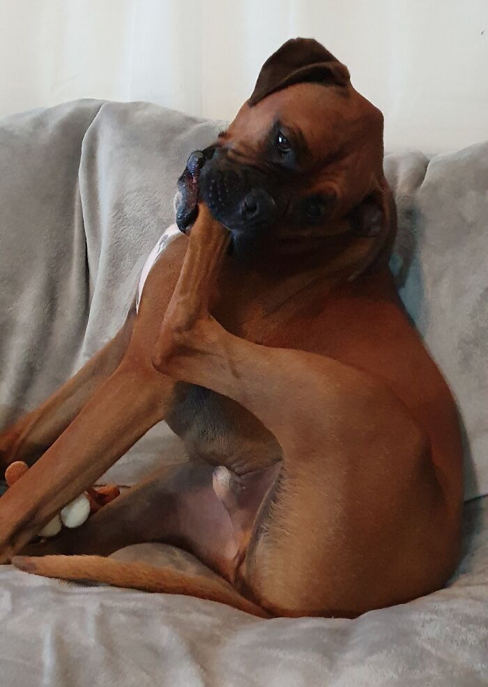 "Smells Like Corn Chips, Tastes Like Feet" - Mike