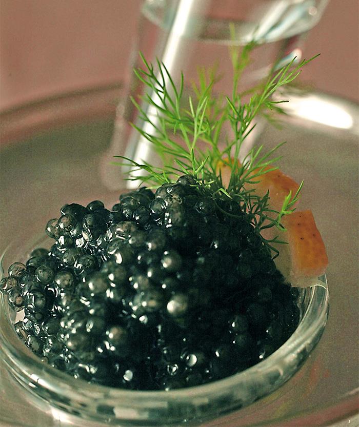 30 ‘Today I Learned’ Facts That Show It’s Never Too Late To Learn (New Pics)