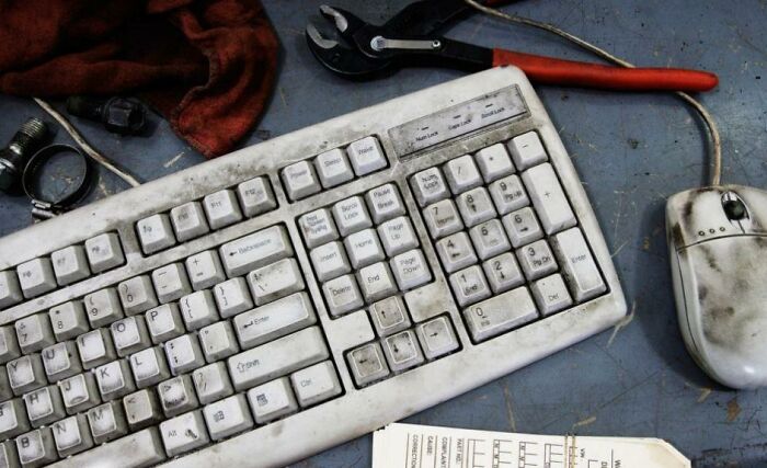 30 ‘Today I Learned’ Facts That Show It’s Never Too Late To Learn (New Pics)