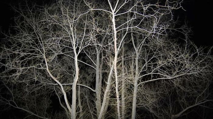 30 ‘Today I Learned’ Facts That Show It’s Never Too Late To Learn (New Pics)