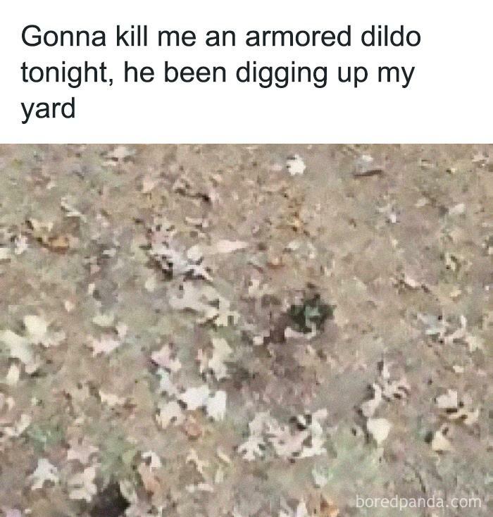 Armored Dildo