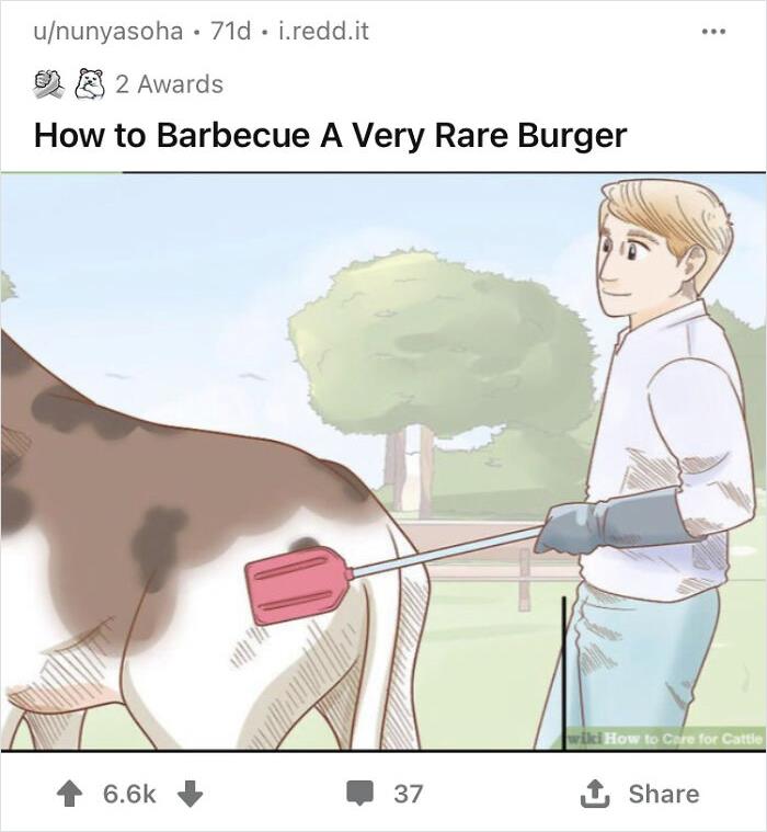 Man humorously barbecuing cow with a spatula, showcasing out-of-context WikiHow image with funny caption.