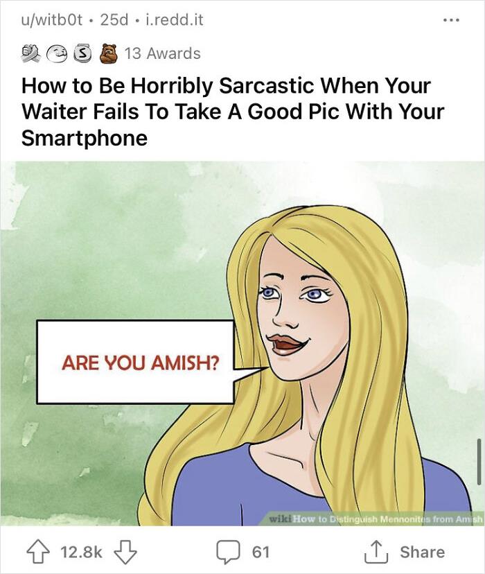 WikiHow image with a woman sarcastically asking, "Are you Amish?"
