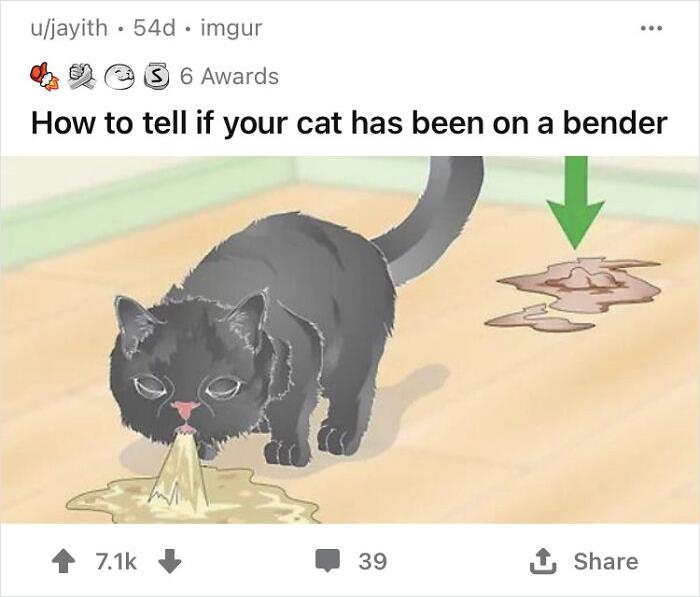 Alternate-Fake-Captions-Out-Of-Context-Wikihow-Pics