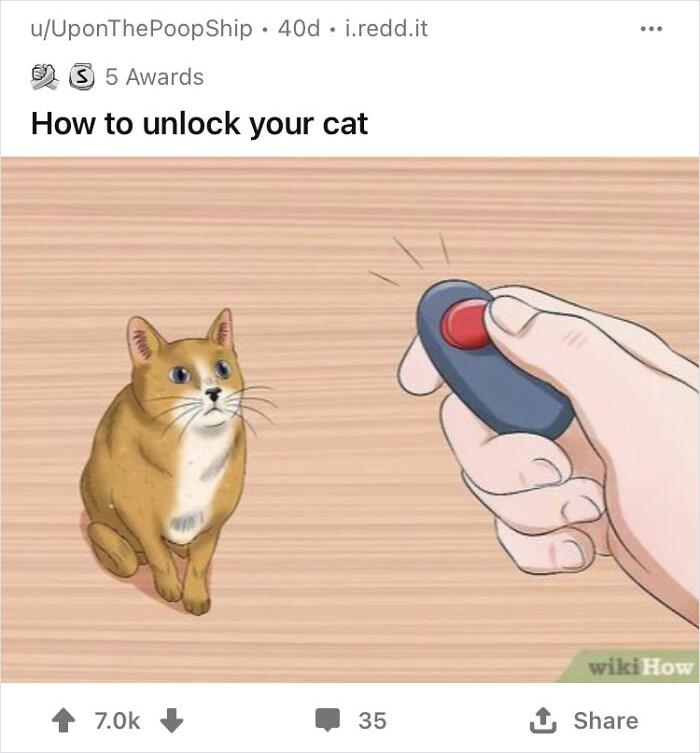 WikiHow image with humorous caption, a hand holds a remote pointed at a cat.