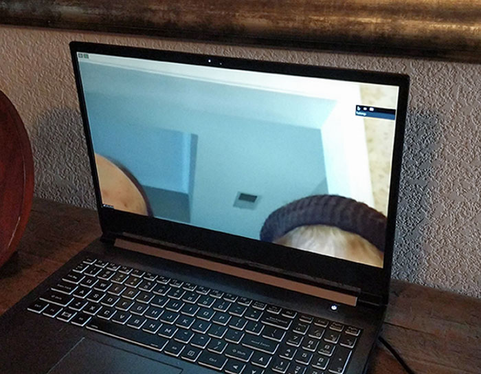 Thanksgiving Dinner-Zoom With Grandma And Grandpa