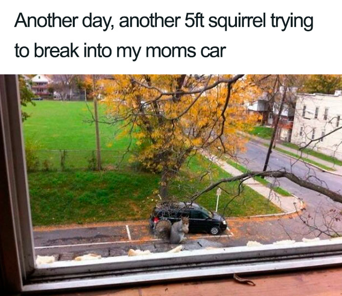 Hate When This Happens