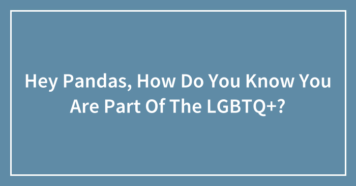 Hey Pandas, How Do You Know You Are Part Of The LGBTQ+? (Closed)