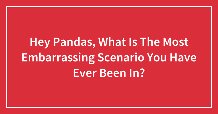Hey Pandas, What Is The Most Embarrassing Scenario You Have Ever Been In?